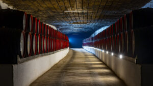 מרתפי היין של קריקובה (Cricova Winery), מולדובה