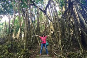 קנטינג (Kenting National Forest Recreation Area)