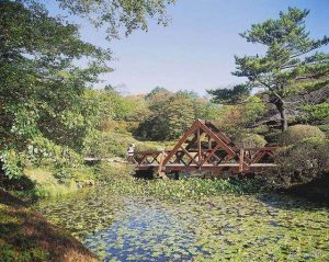 גן בוטני באזור הר רוקו (Mount Rokko), קובה, יפן