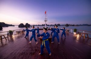 אימון Vovinam, וייטנאם