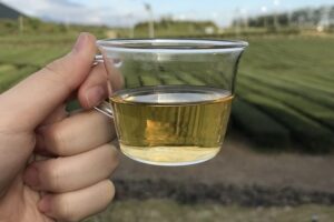 מוזיאון התה אוסולוק (Osulloc Tea Museum), דרום קוריאה