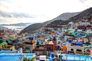 כפר התרבות גמצ